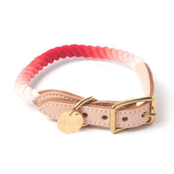 Found My Animal - Dog Collar - Coral Fade