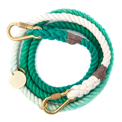 Found My Animal - Dog Leash - Teal Ombre