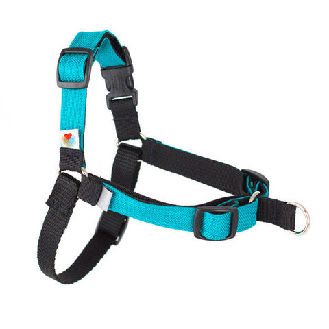 Stop Pulling Front Dog Harness - Turquoise