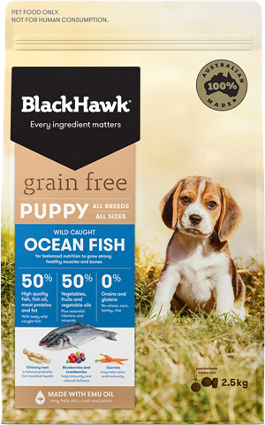 Black Hawk - Puppy - Ocean Fish