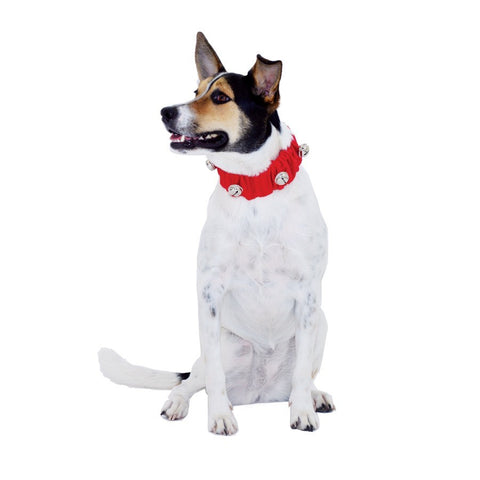 Jingle bell dog outlet collar large